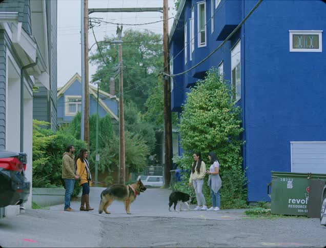 Two sets of two people are walking dogs in a neighborhood alley
