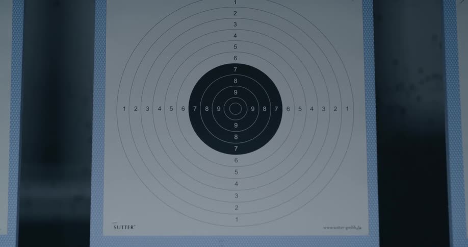 The target board in the shooting range flips around