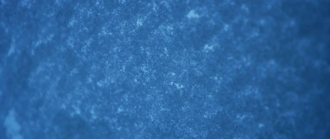 A close up blue textured material