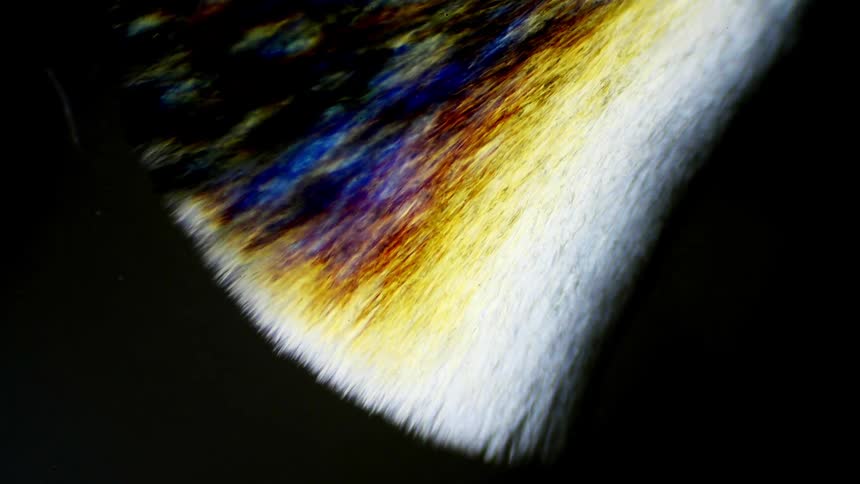 Colorful crystals form on a black surface under a microscope