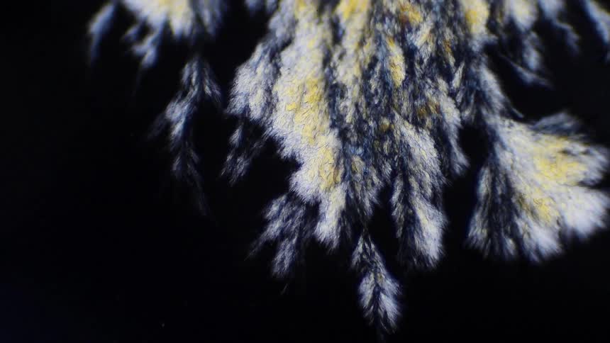 Formation of white and yellow crystals on a black surface