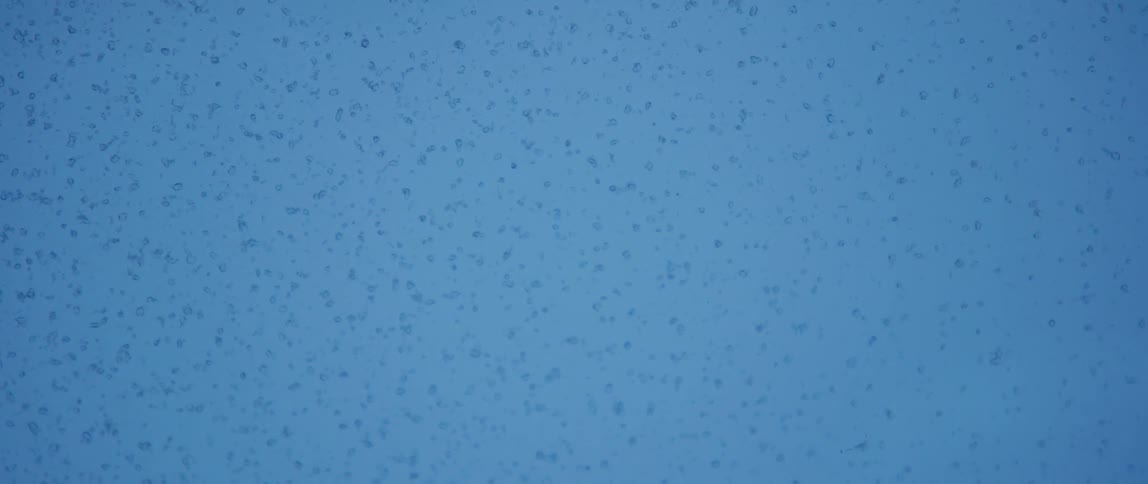 Window with rain hitting it