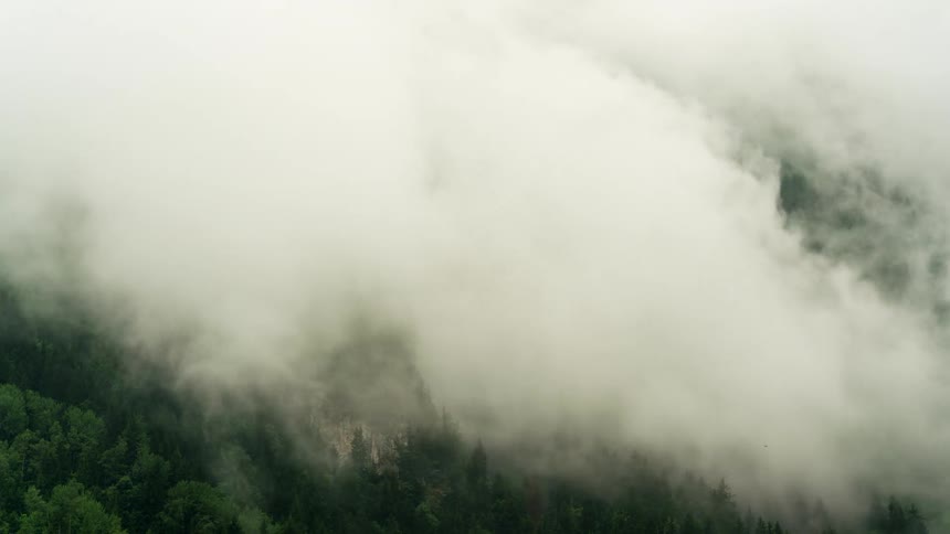Time lapse of clouds moving over a forest