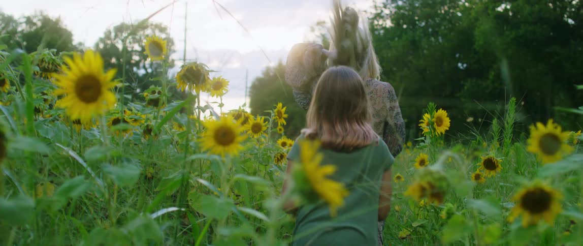 Blonde woman and child walk in a field of sunflower at dusk