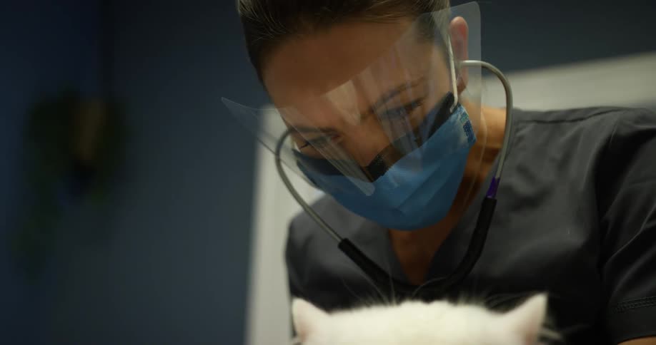 A woman with a mask a face shield a stethoscope and scrubs