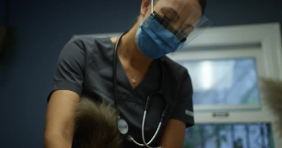 Veterinarian taking care of a cat