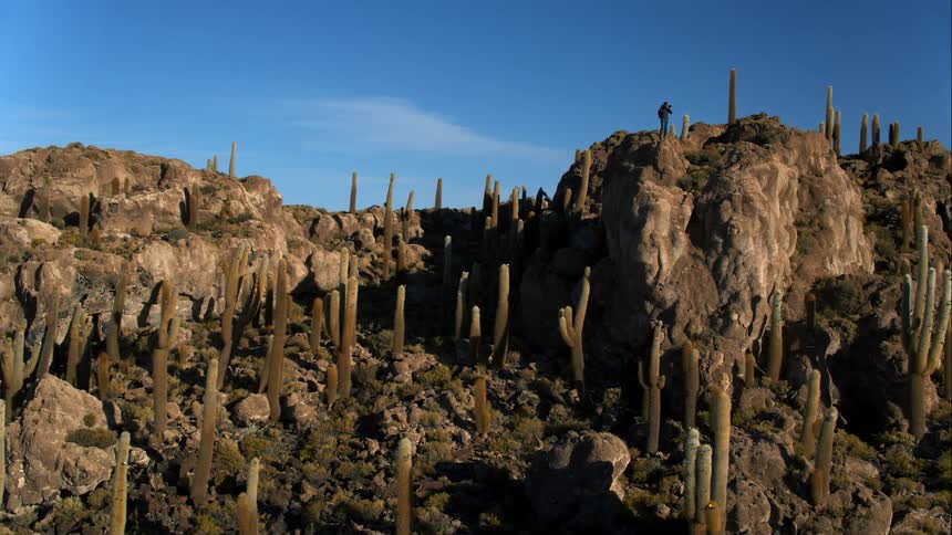 A photographer takes a photograph while standing atop a large rock formation in a desert on a sunny day