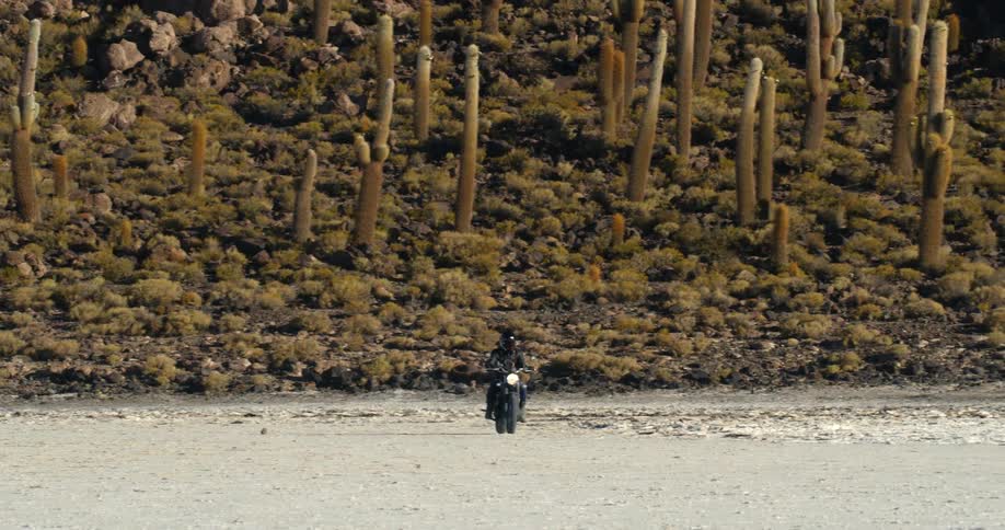 A motorcyclist riding in front of cacti in a sandy desert