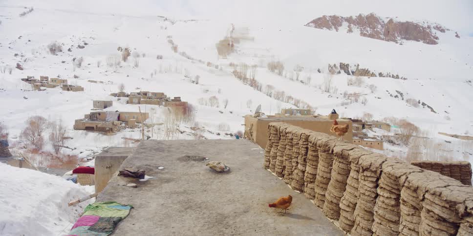 Hen pecks across concrete in town on snow covered mountain slope