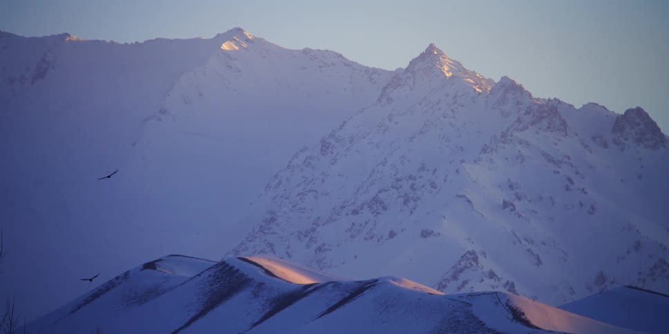Birds flying over snowy mountains on a winter day