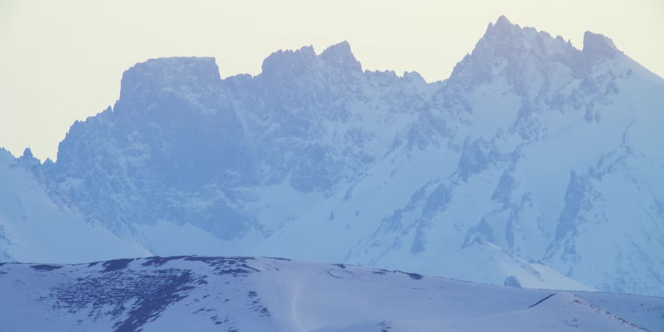 A bird flying over snowy mountains in the winter