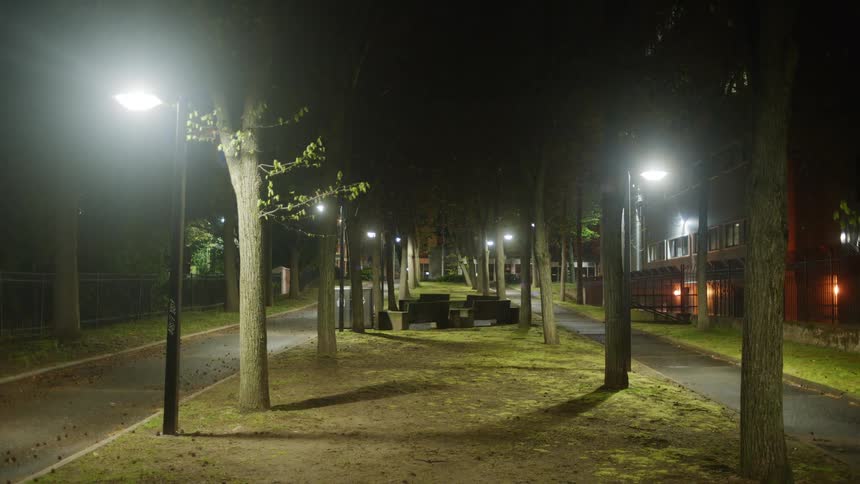 The trails are empty at night