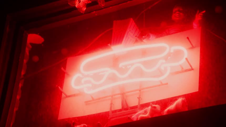 Hot dog shaped neon sign and other signs occupy wall the lights tinting nearby tree foliage