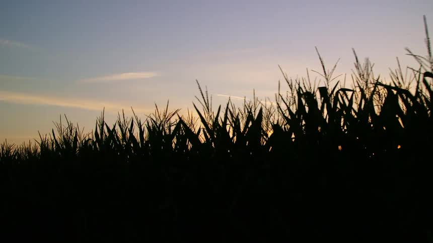 The sun is setting in the horizon