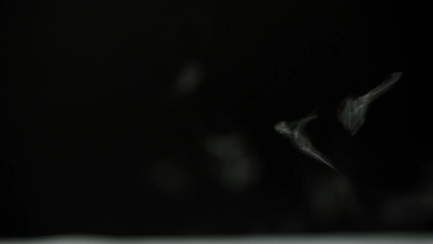 White smoke billowing in front of a black background