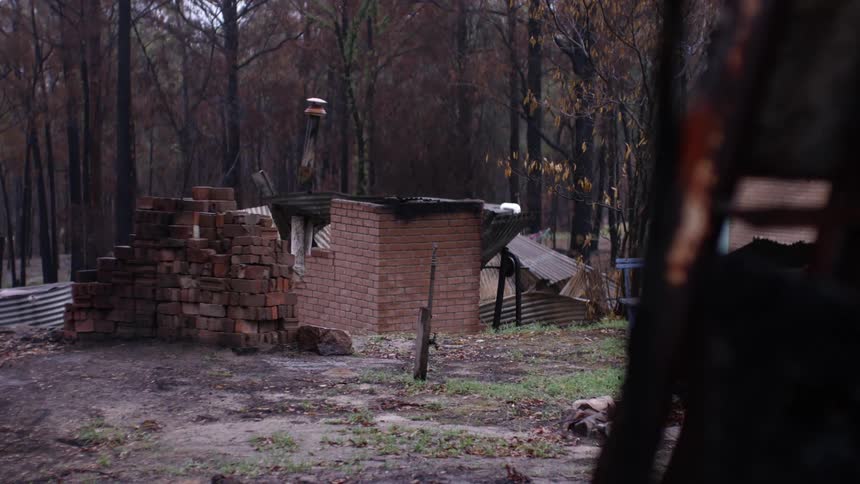A large pile of red bricks sit near a run down bunker surrounded by trees