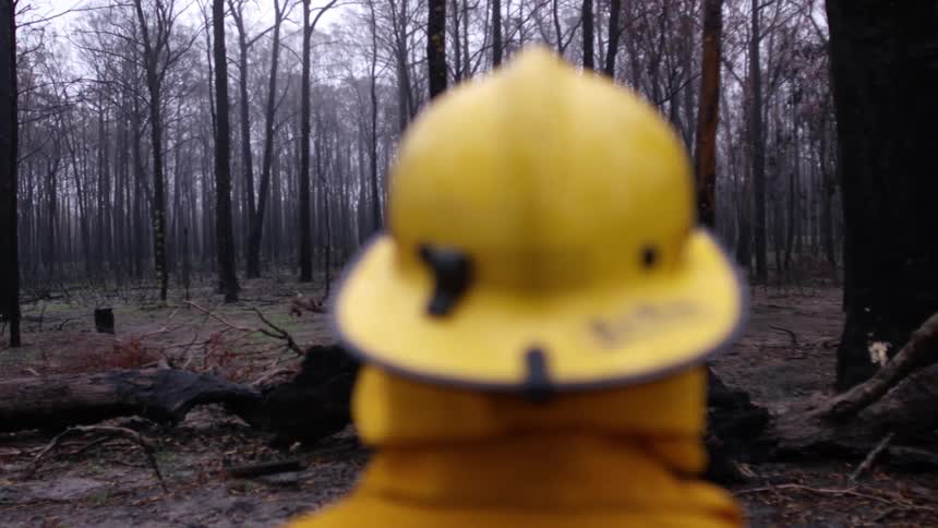 A firefighter wearing a yellow helmet surveys a burned forest