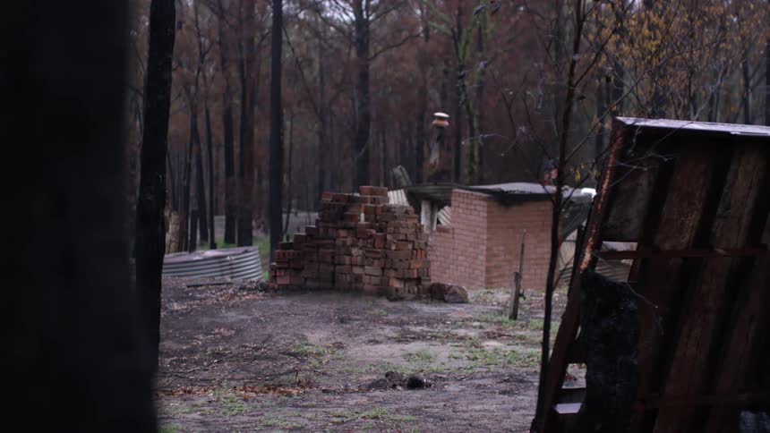 A man looks at a little hut and pile of wood in the forest and walks away