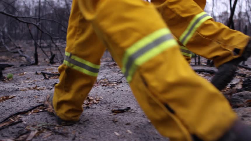 Firefighters walk through burned forest area