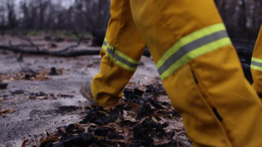 A pair of firefighters walk through a clearing in a forest filled with burned trees and ash