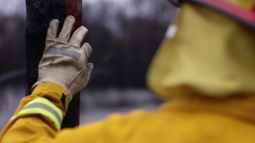 A firefighter stands and looks at a forest that was destroyed in a fire