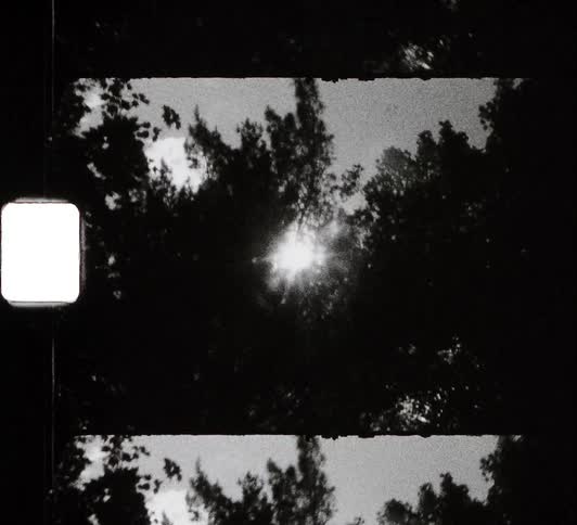 Sun glare through tree branches on black and white vintage film