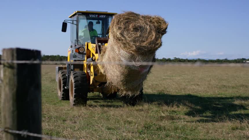 A farmer moves a hay bale with a tractor