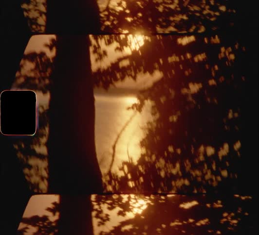 The sun setting over a lake and trees