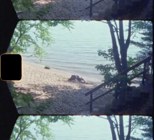 Plants grow by a beach near a home 8mm