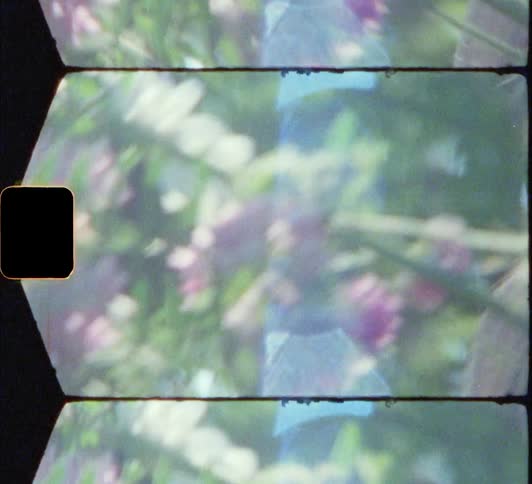 Side view of a blonde girl holding a bunch of flowers on a sunny day 8mm