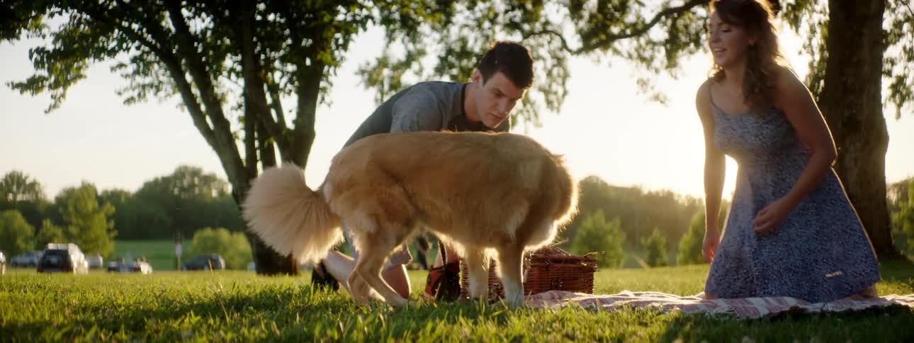 A couple have a picnic with their dog