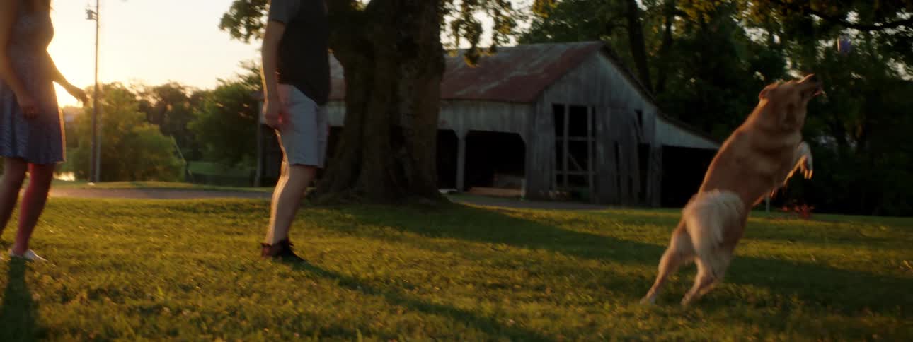 Couple playing fetch with their dog in the backyard