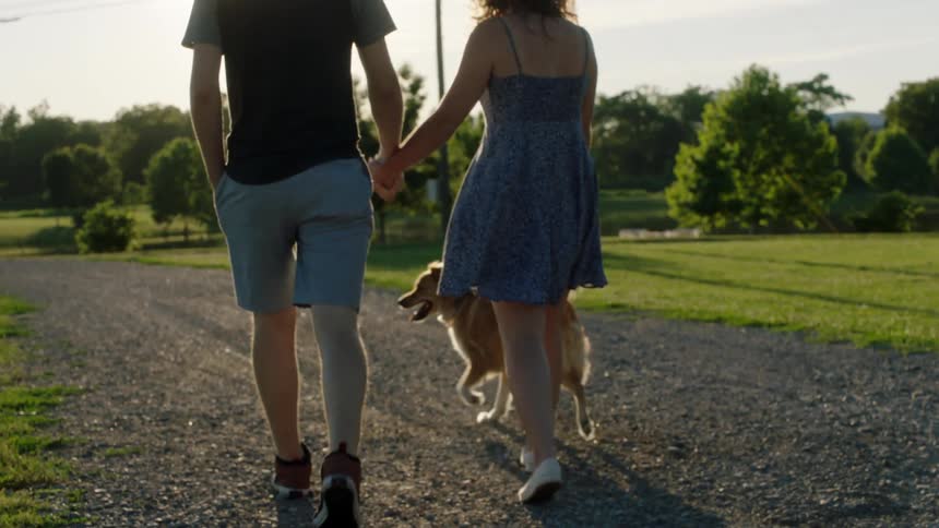Man and woman holding hands walk a golden retriever along a trail in a park on a sunny day