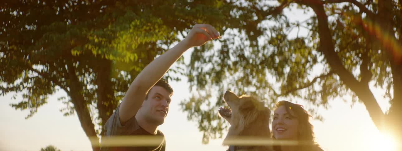 A man a woman and a dog sitting on grass with trees and vehicles in the background