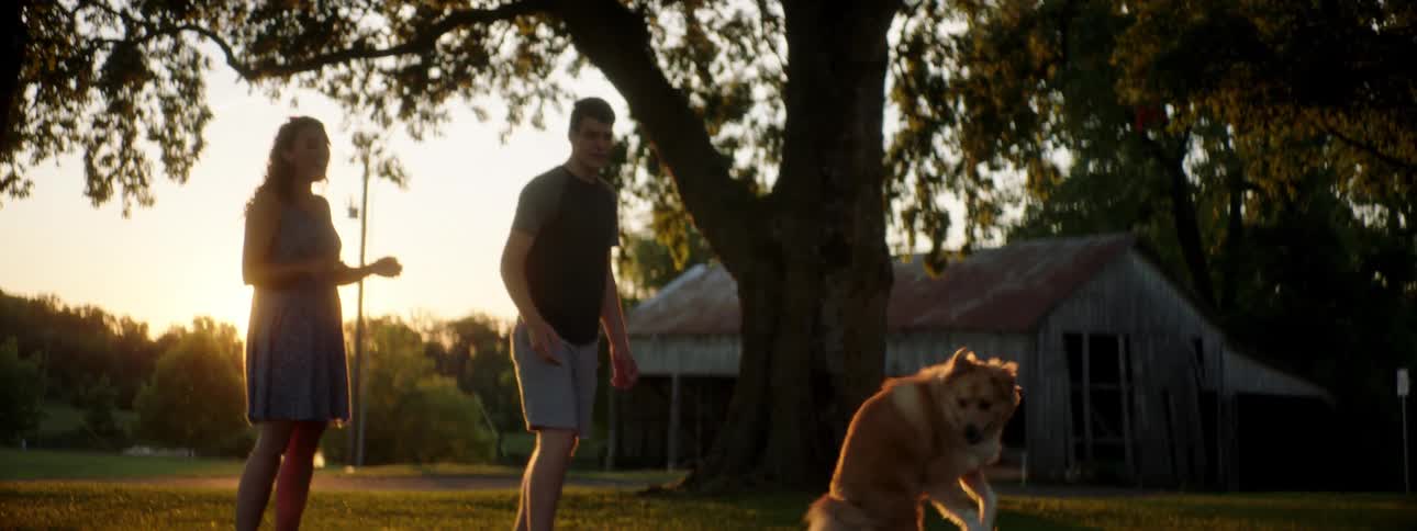 A man and woman play fetch with their dog