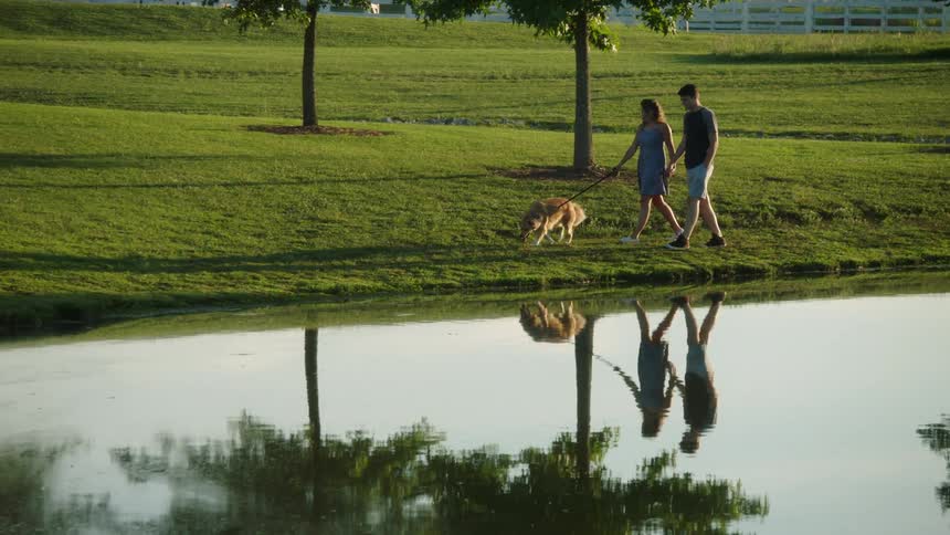 Man with shorts a t shirt and woman wearing a blue dress walk a dog along the riverside