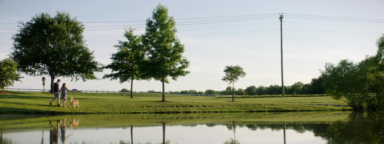 A man and woman hold hands as they walk their dog past a pond in a park
