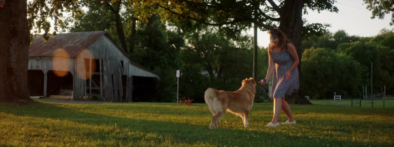 A man and woman throw a ball up for a dog to catch it