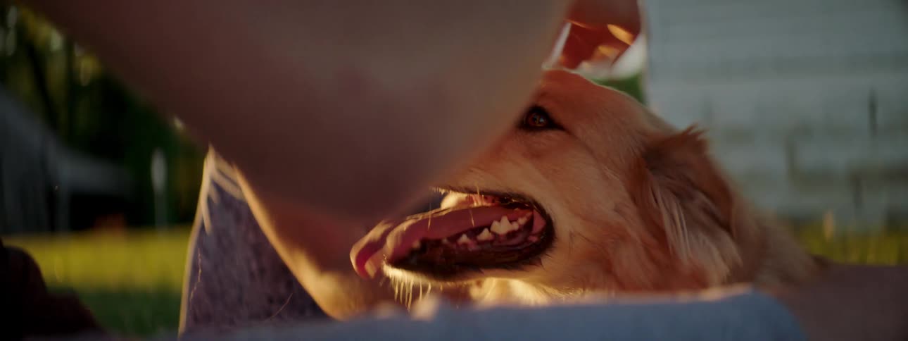 A man and woman sit outside their home and pet their dog