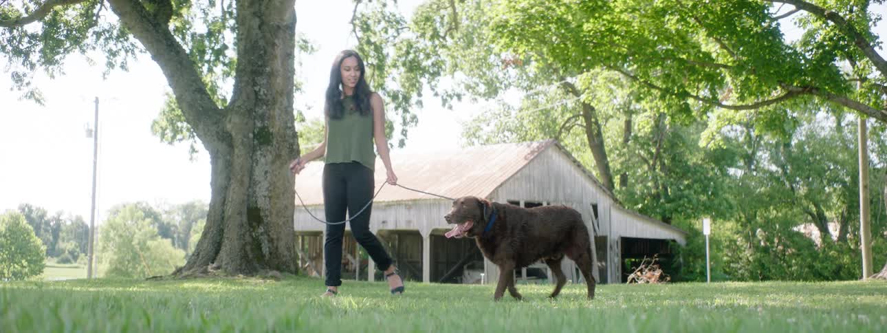 A woman is walking her dog outdoors in spring