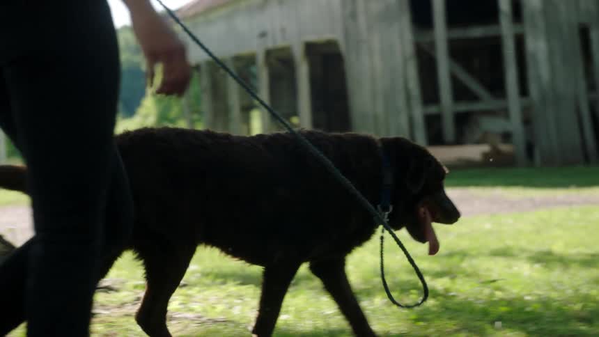 Woman with wavy hair and black pants walks a black dog on the green grass
