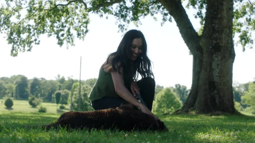 Brunette woman with wavy hair green blouse and black pants strokes a brown dog playfully on the lawn under a tree