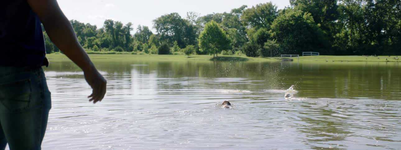 A man and woman stand next to a pond and throw balls in the water for their dogs to retrieve