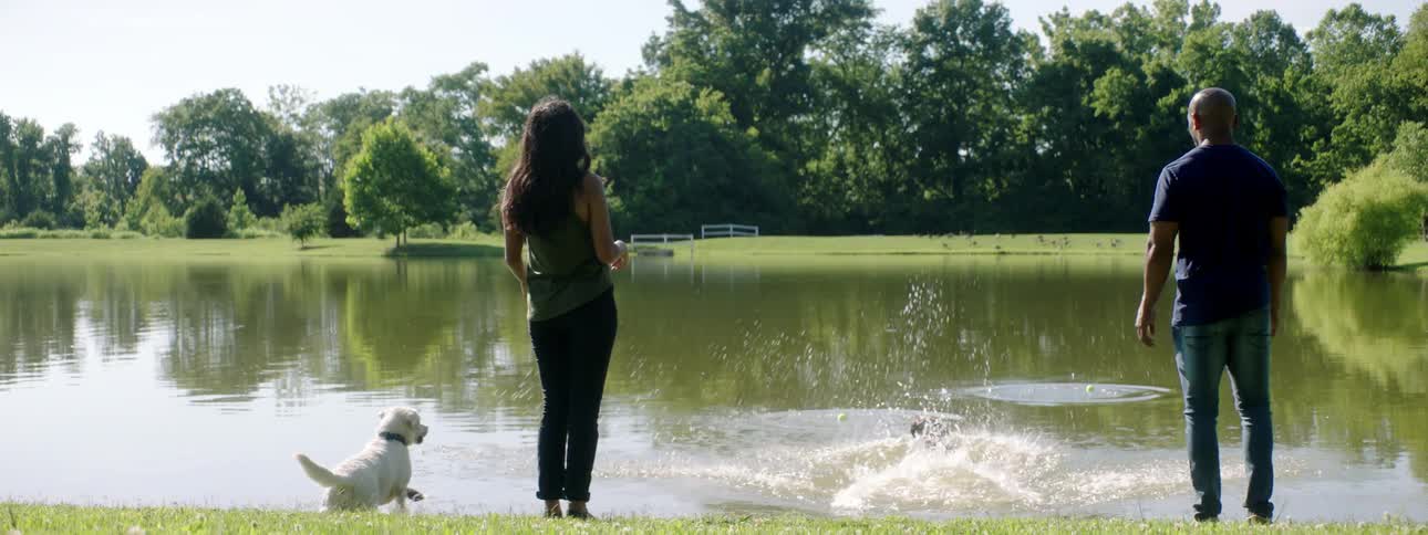 A man and woman both throw a tennis ball in to a river and then two dogs chase after them