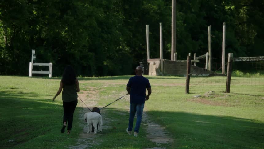 A couple walking two dogs on a leash on the dirt path through the grass of a park