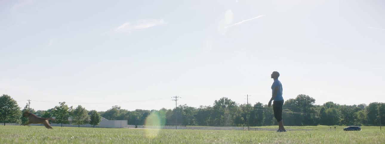 A man throws a ball for a dog to run and chase it in a public grass area