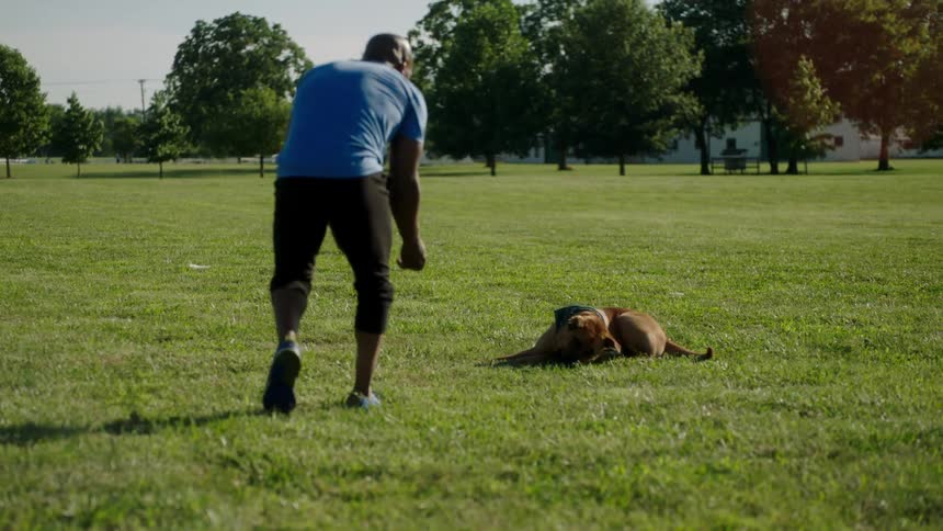A man in a public park bends down as his dog comes running to him with a ball