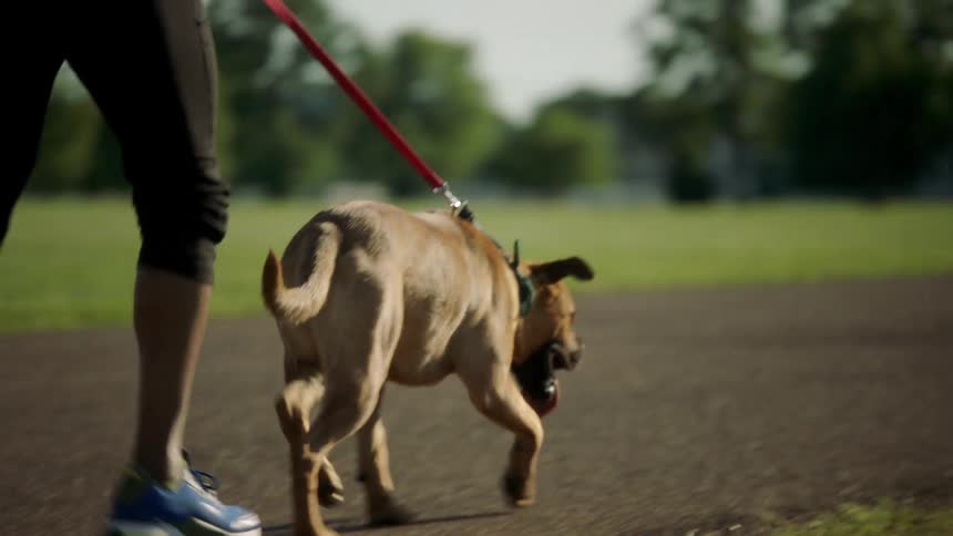 A man is jogging outdoors with his dog