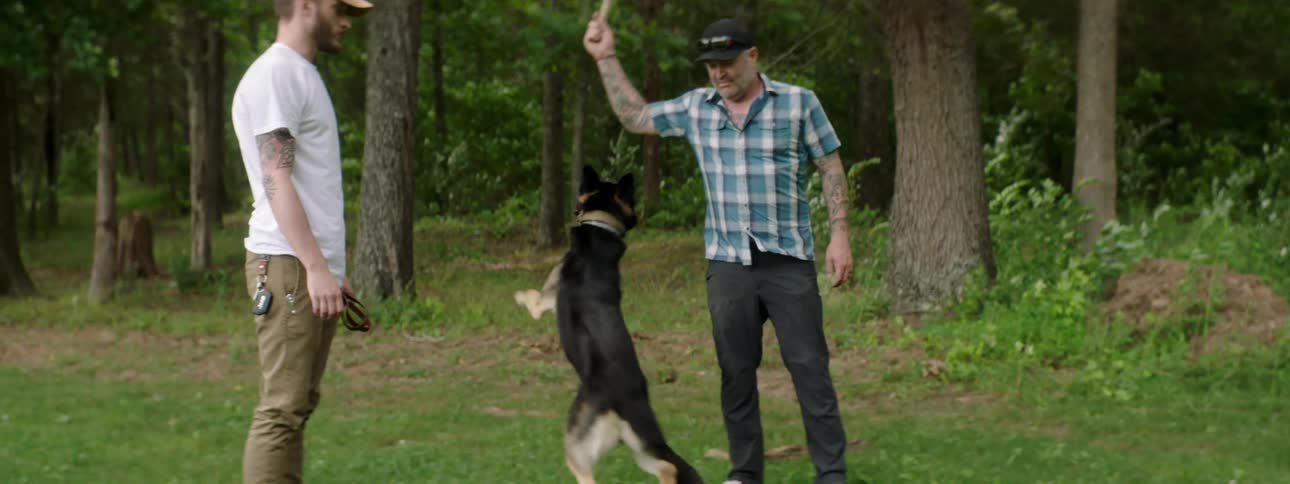 Two men stand in a tree lined back yard playing with a dog and a stick