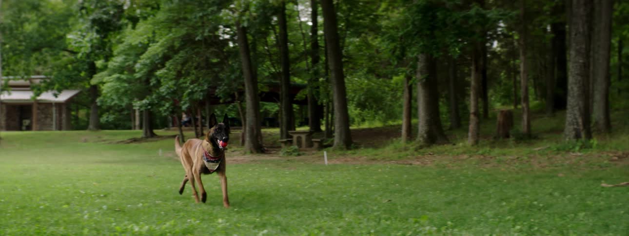Two men are outdoors playing with their dog